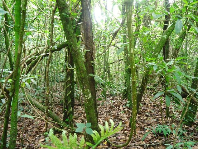 Arquivo:Image007.jpg