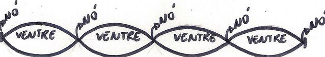 Arquivo:Digitalizar0001.jpg