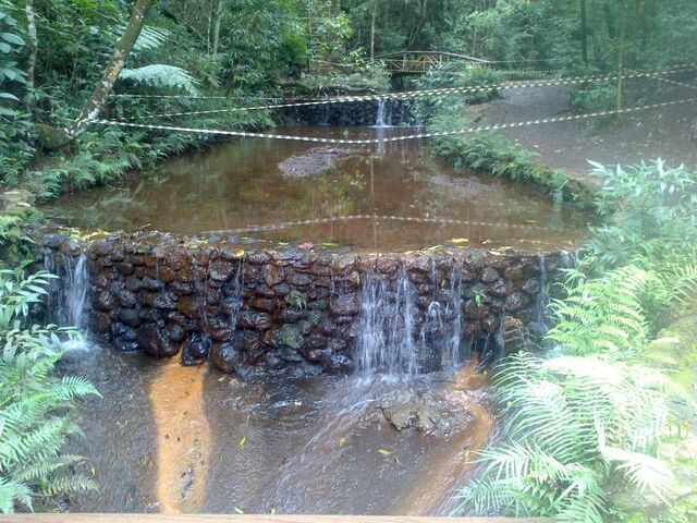 Arquivo:56554654.jpg