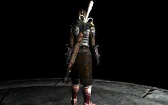 SwordoftheSagesonBack