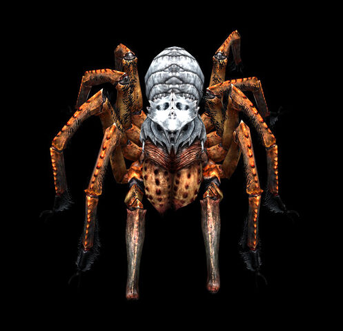 File:BigSkulltula.jpg