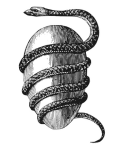 File:JacobBryanrOrphicEgg.png