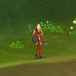 Captain diamond guardsman crop