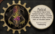 Rare Mimics Packrat