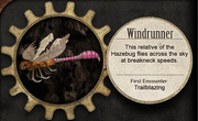 Rare Mimics Windrunner