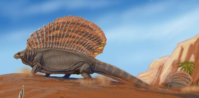 File:Edaphosaurus.jpg