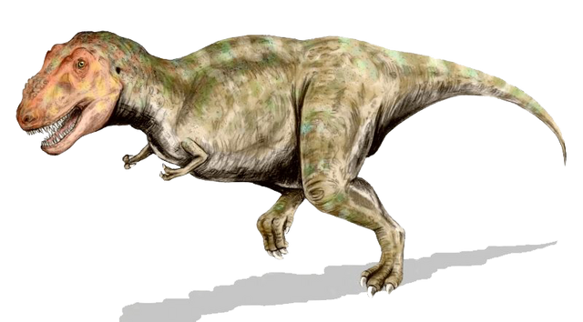 File:Tyrannosaurus BW.png