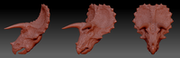 Head construction