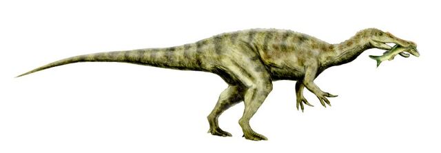 File:Baryonyx.jpg