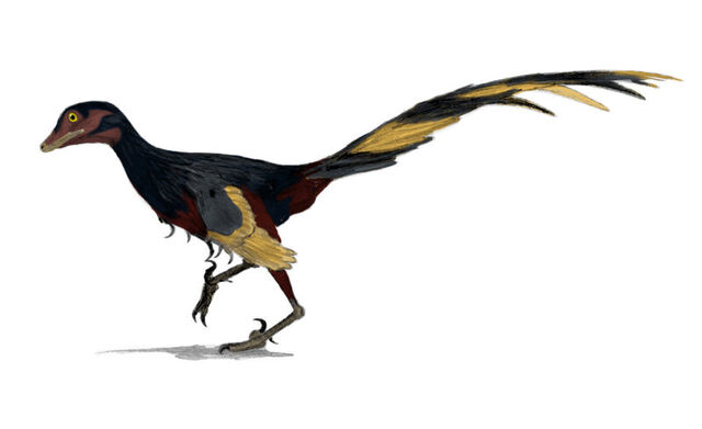 File:Jinfengopteryx.jpg