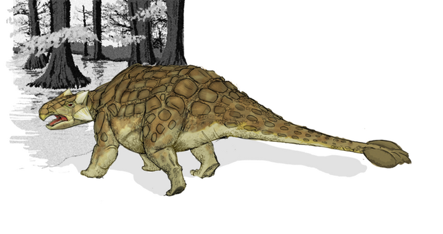 File:Ankylosaurus.png