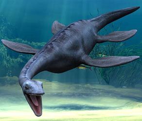 Plesiosaur