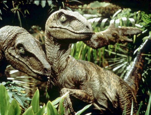 File:Velociraptors.jpg
