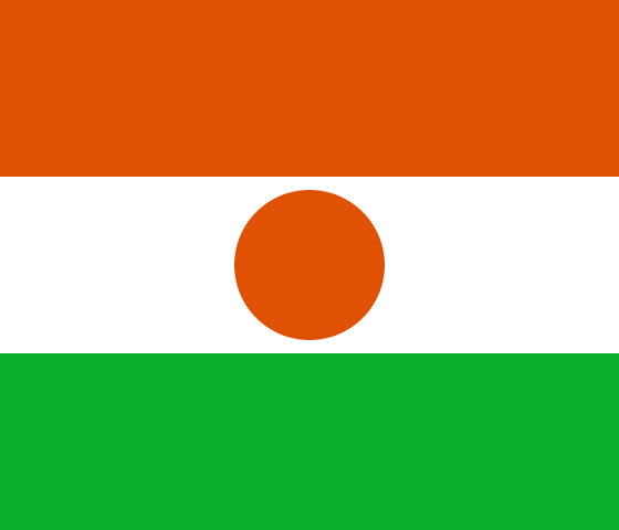 File:Flag of Niger svg.png