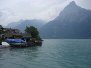 Med-visoterra-lac-des-4-cantons-1527