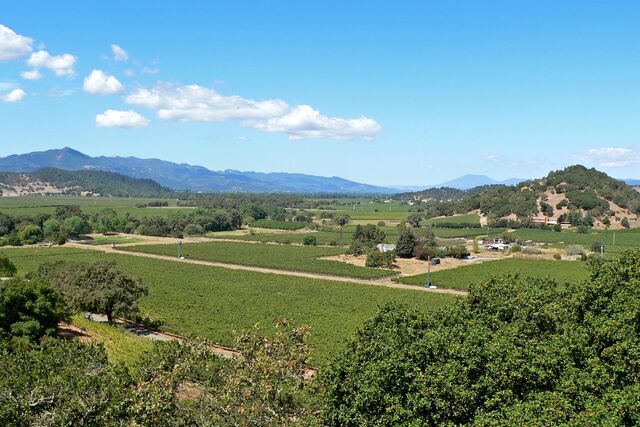 Archivo:Napa Valley.jpg