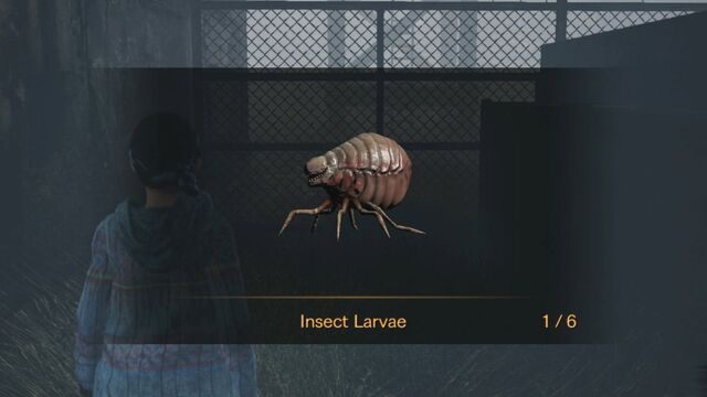 File:InsectThumb2-1425592960072.jpg