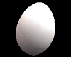 WhitechickeneggRE5