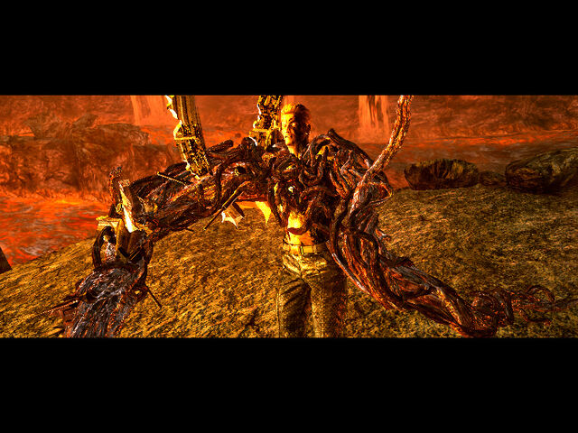 File:Volcano (40).jpg