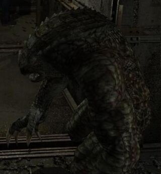 Hunter.jpg