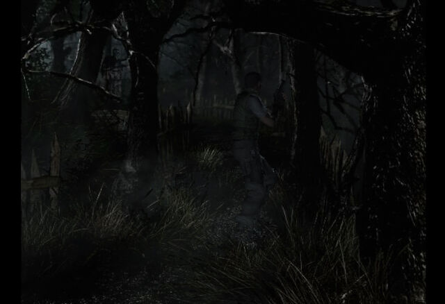 File:Passage to Cabin (3).jpg