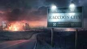 Racoon