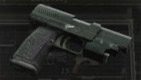 RE4Weapon Punisher.jpg