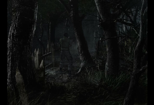 File:Passage to Cabin (7).jpg