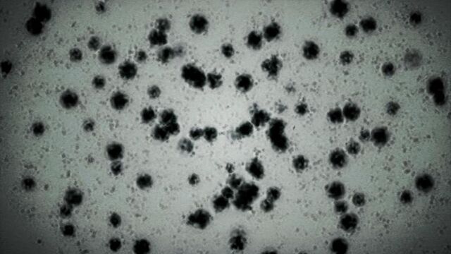 Datei:830px-Twi-T-Virus.jpg