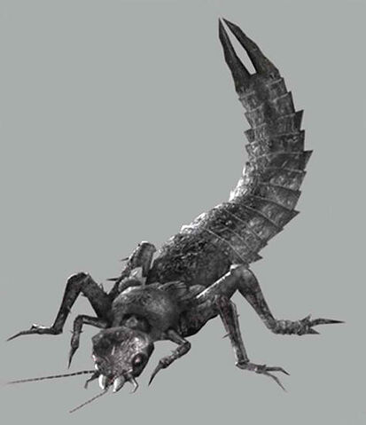 File:Scissor tail.jpg