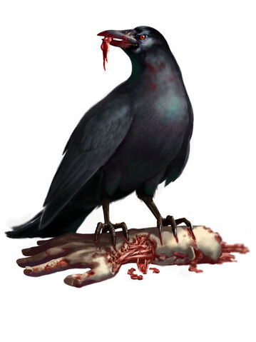 File:Crow.jpg