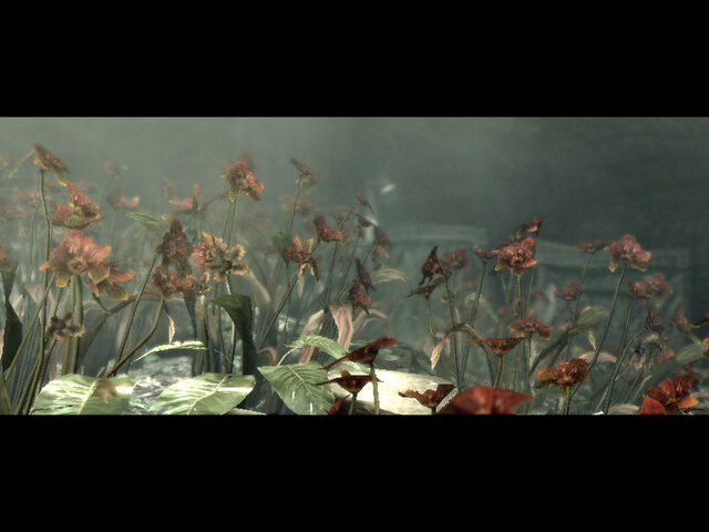 File:Underground garden cutscenes (10).jpg