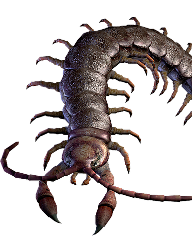 File:Centurion render.png