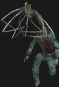Plaga Infection