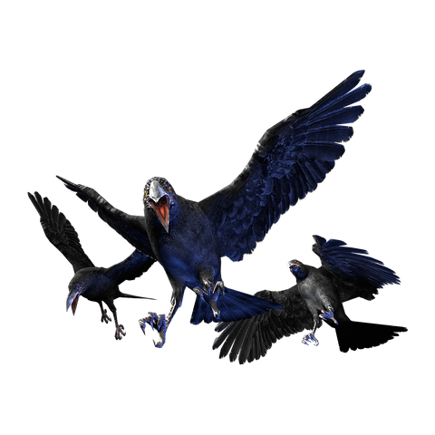 File:Cr crow.png