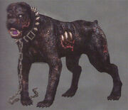 Dog (1)