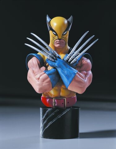 File:WOLVERINE1-25th anniversary.jpg