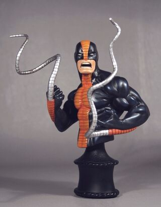 Constrictor bust