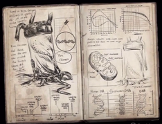 Pure Chimera (Journal)