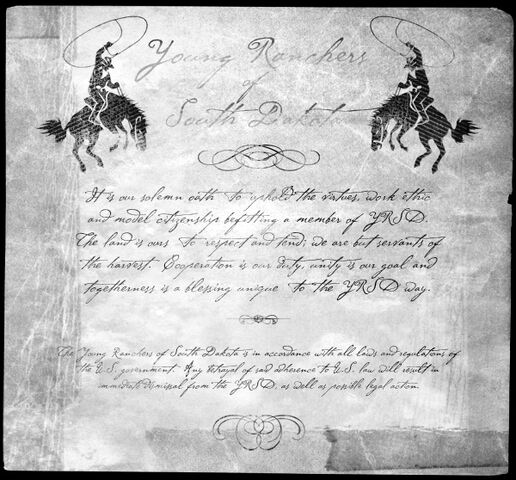 File:SRPA YRSD519597.jpg