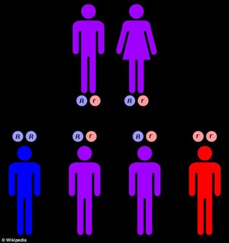 File:Blue4.jpg