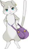 Pack-full.png