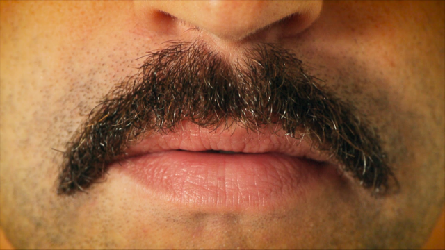 File:Wikia-Visualization-Add-4,rhettandlink.png