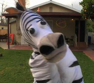 Dopezebrahead