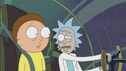 S1e1 morty unsure