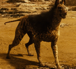 Alien Jackal