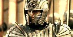 Vaako helm