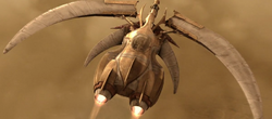 Helion ship