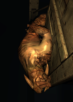 Xeno Sleeping