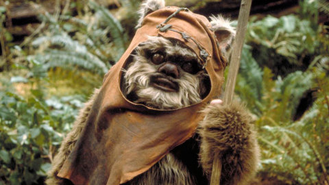 File:Ewok.jpg